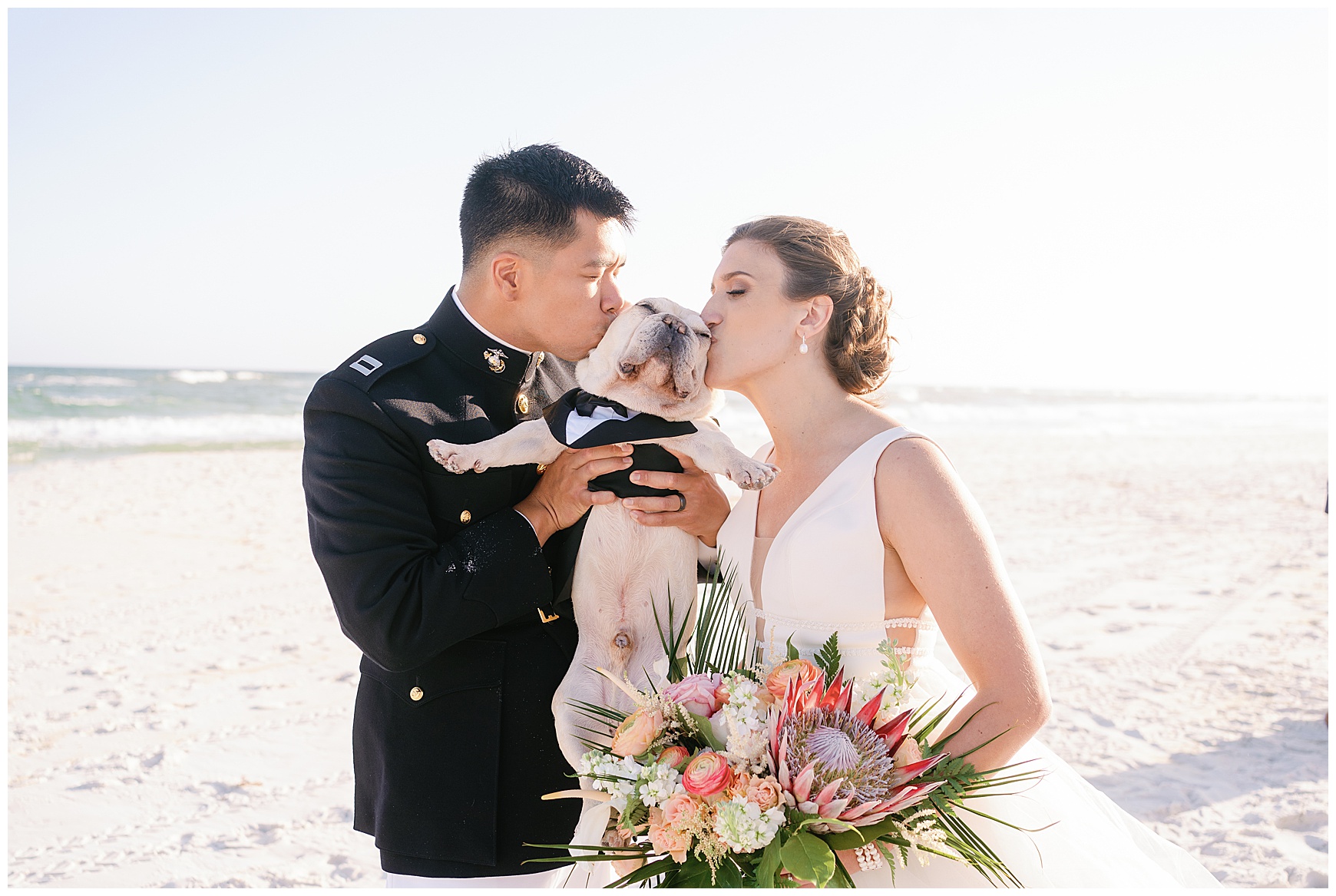 bride and groom kissing French bulldog